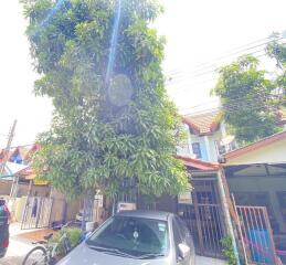 Front view of the house with a car parked under a tree