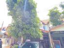 Front view of the house with a car parked under a tree