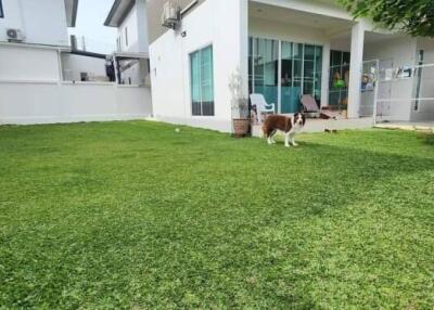 Spacious backyard with green lawn and patio