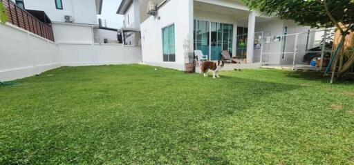 Spacious backyard with green lawn and patio