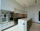 Modern kitchen with island and built-in appliances