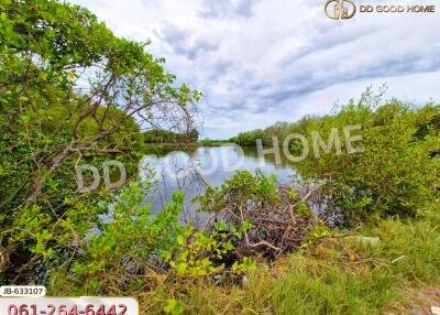 Scenic view of a lake surrounded by lush greenery