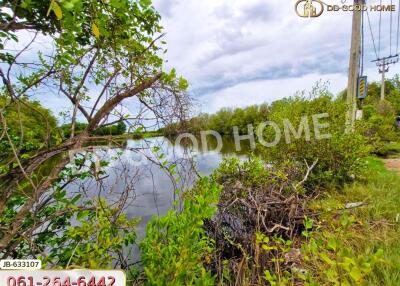 View of a serene lake surrounded by lush greenery