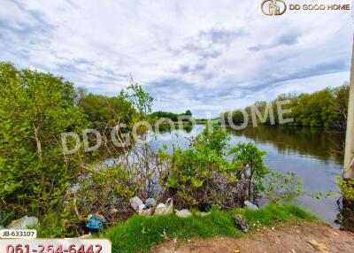 View of a natural lake with surrounding greenery