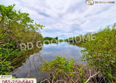 Waterfront view with vegetation