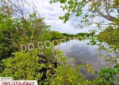 Beautiful view of a calm lake surrounded by lush green vegetation