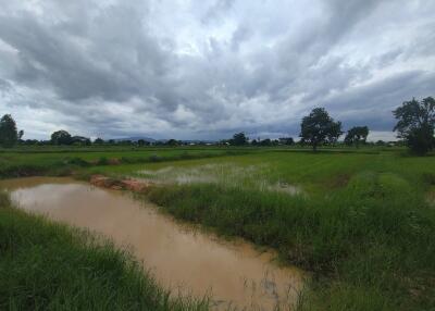 Expansive grassy field with a small muddy pond under a cloudy sky