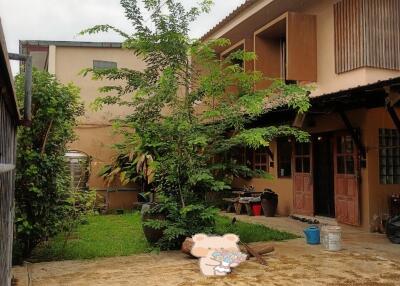 A backyard view of a residential building with a small lawn and tall plant