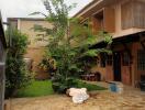 A backyard view of a residential building with a small lawn and tall plant