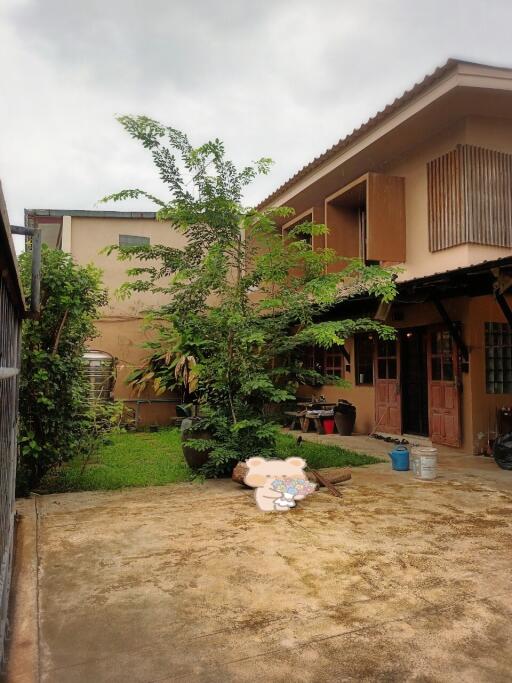 A backyard view of a residential building with a small lawn and tall plant