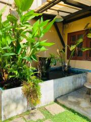 Outdoor area with lush greenery and a small pond