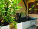 Outdoor area with lush greenery and a small pond