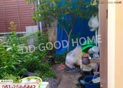 Outdoor area with garden and storage