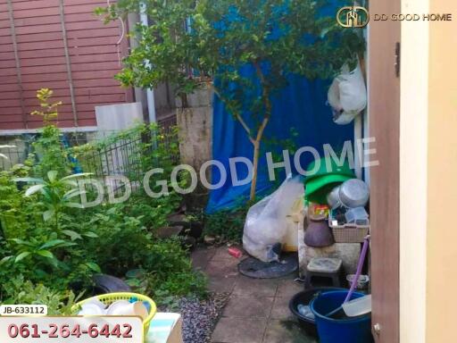 Outdoor area with garden and storage