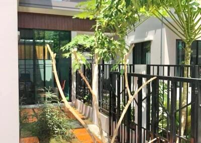 Side pathway with greenery and adjacent building