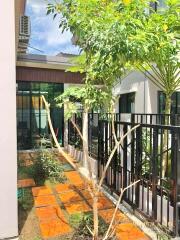 Side pathway with greenery and adjacent building