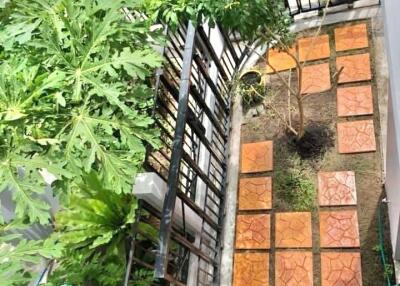 Outdoor garden with potted plants and tiled walkway