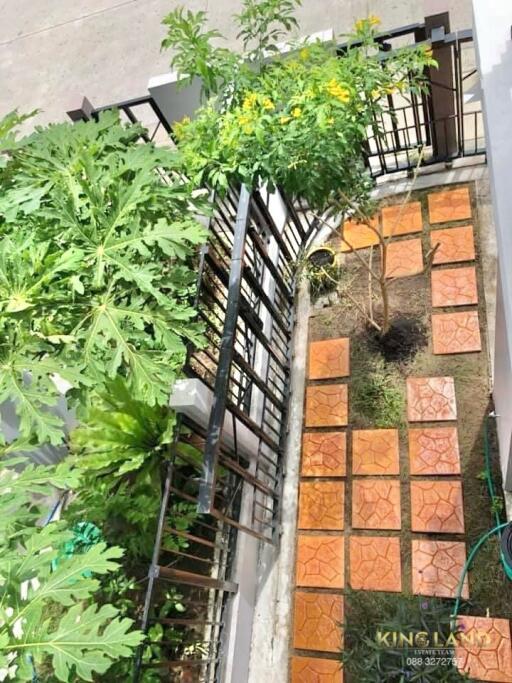 Outdoor garden with potted plants and tiled walkway