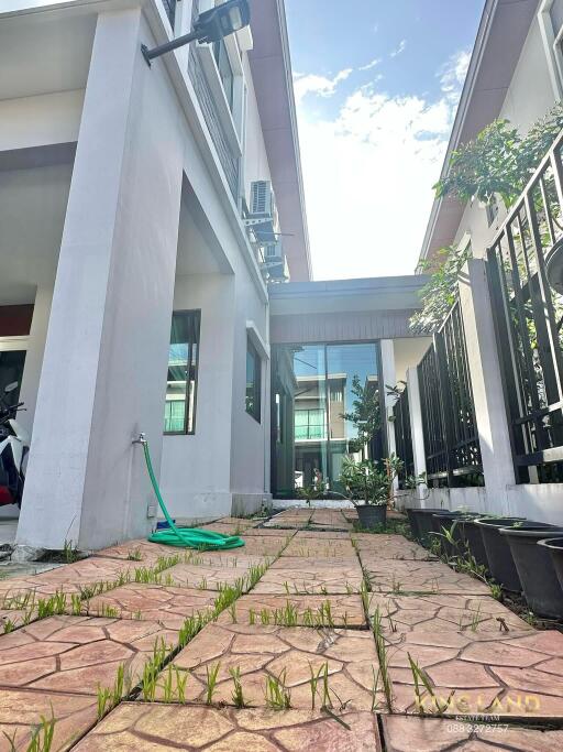 Outdoor view of building showing a paved pathway and greenery