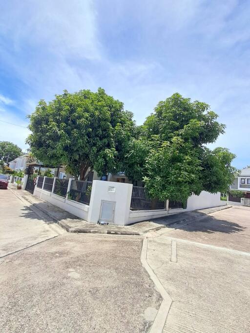 Corner view of a residential house surrounded by trees