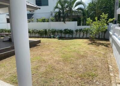 Backyard with lawn and surrounding greenery