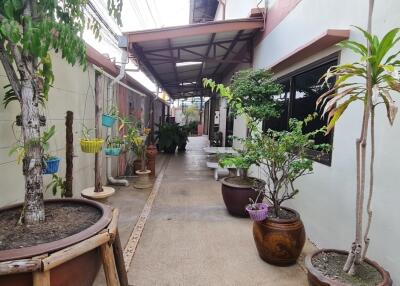 Outdoor corridor with plants in pots