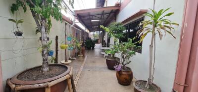 Outdoor corridor with plants in pots