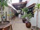 Outdoor corridor with plants in pots