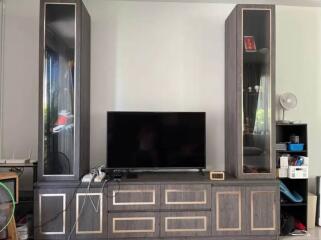 Living room entertainment center with TV