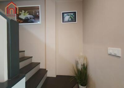 Interior staircase with wall art and potted plant