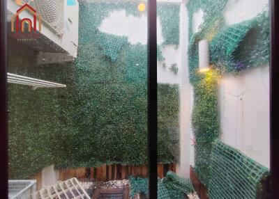 exterior vertical garden