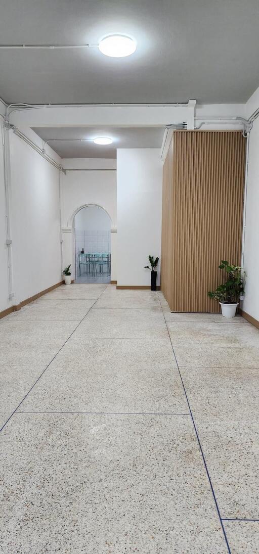 Spacious hallway with plants and a view into another room