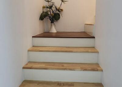 Modern wooden staircase