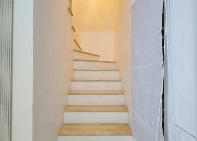 Indoor staircase with wooden steps