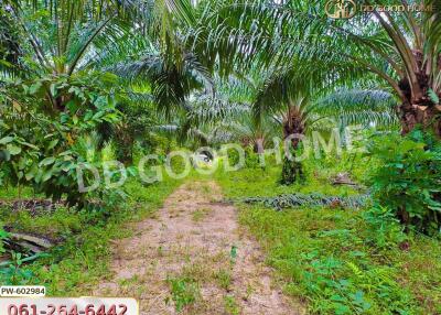 A lush garden pathway surrounded by greenery