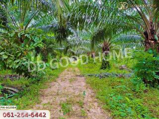 A lush garden pathway surrounded by greenery