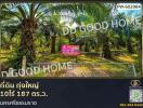 Land for sale with palm trees