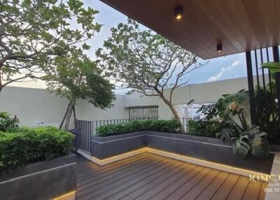 Outdoor patio area with plants and wooden decking