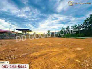 Spacious open land with surrounding greenery