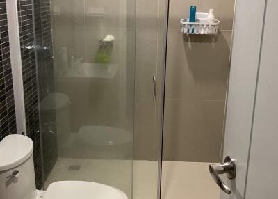 Modern bathroom with glass shower enclosure and toilet