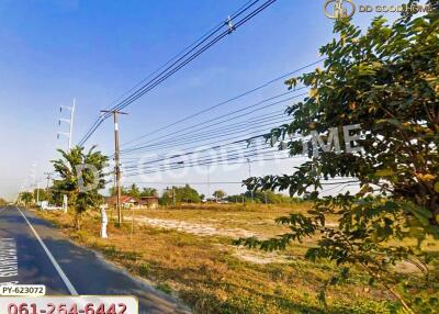 Roadside with open land and power lines