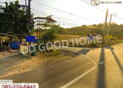 Roadside with directional sign and power lines