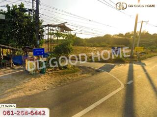 Roadside with directional sign and power lines