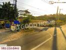 Roadside with directional sign and power lines