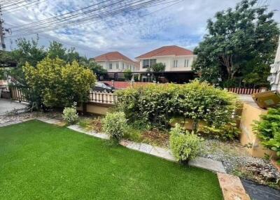 Well-maintained garden with trimmed bushes and lush green lawn