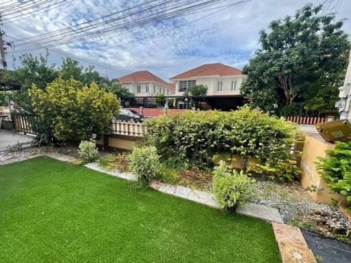 Well-maintained garden with trimmed bushes and lush green lawn