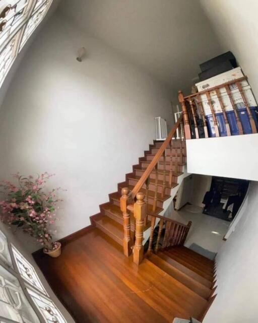 Wooden staircase with white walls