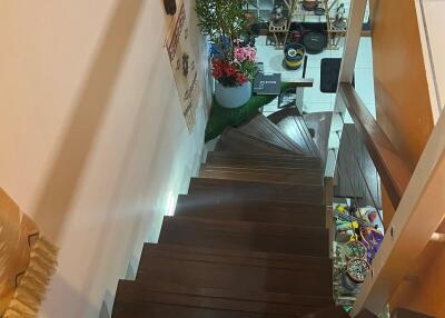 Wooden staircase with plants and decorative items