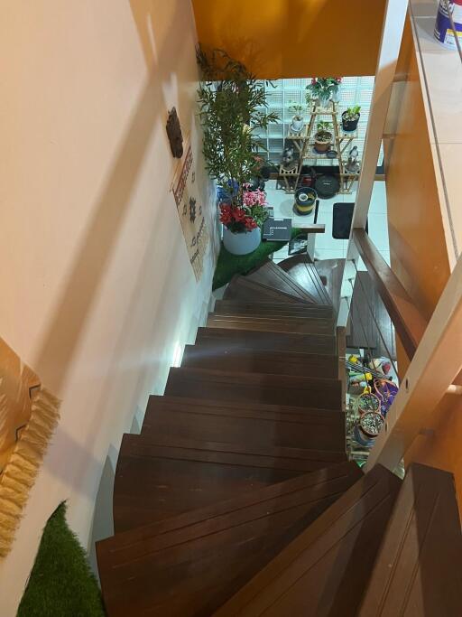 Wooden staircase with plants and decorative items