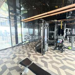 Modern gym with city view